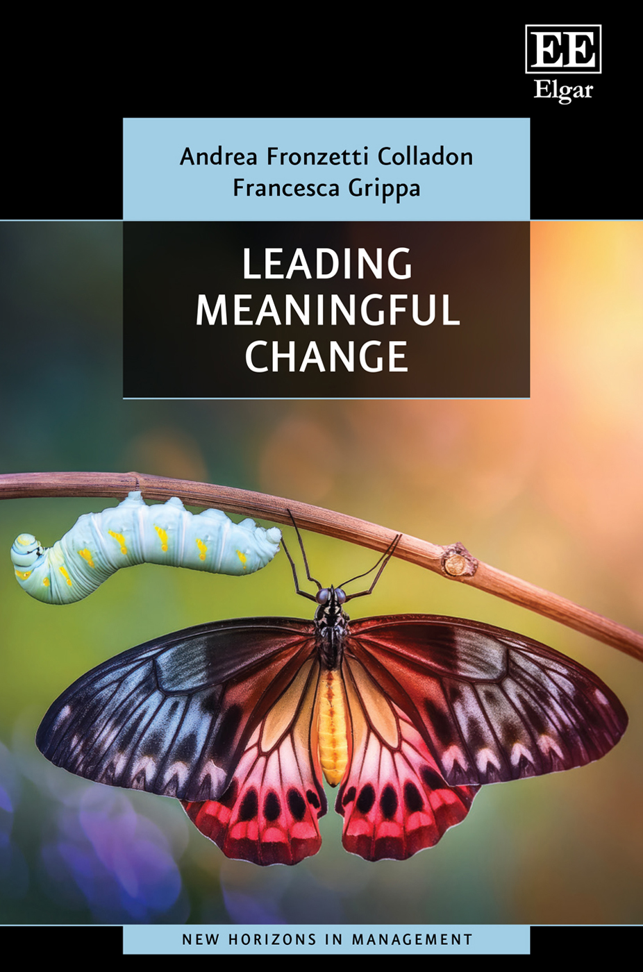 Leading Meaningful Change – book cover